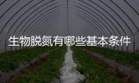 生物脫氮有哪些基本條件?