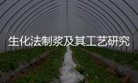 生化法制漿及其工藝研究