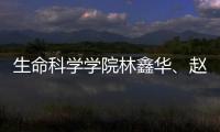 生命科學學院林鑫華、趙冰團隊研究揭示造血干細胞命運決定新機制