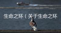 生命之環（關于生命之環的基本情況說明介紹）