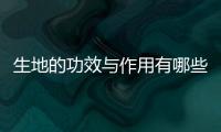 生地的功效與作用有哪些,如何正確食用生地？