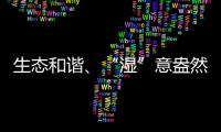 生態(tài)和諧、“濕”意盎然！江蘇鹽城東臺條子泥濕地成“鳥類天堂”