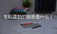 生機蓬勃的意思是什么（蓬勃生機的意思）