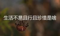 生活不易且行且珍惜是啥意思（人生不易 生活不易 且行且珍惜 什么意思）