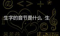 生字的音節是什么  生字的音節是啥