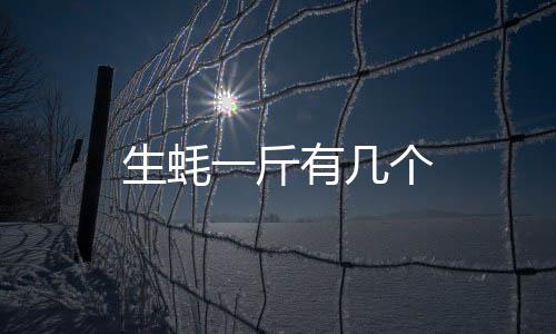 生蠔一斤有幾個