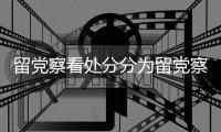 留黨察看處分分為留黨察看一年留黨察看兩年（留黨察看處分分為( )）