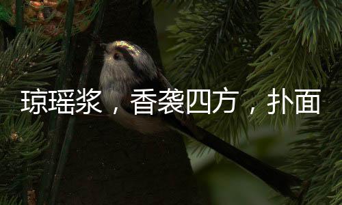 瓊瑤漿，香襲四方，撲面沁脾