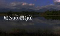 瑣(suǒ)具(jù)脅(xié)網友會怎么評論?