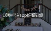 球賽押注app好看到爆的籃球壁紙2024年8月11日