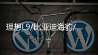 理想L9/比亞迪海豹/零跑C01 你看好哪個？
