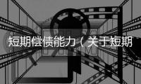 短期償債能力（關(guān)于短期償債能力的基本情況說(shuō)明介紹）