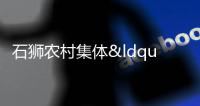 石獅農村集體“三資”專項整治收回拖欠租金近26萬元