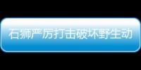 石獅嚴厲打擊破壞野生動物違法犯罪