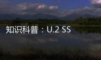 知識科普：U.2 SSD到底是什么鬼？