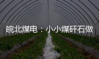 皖北煤電：小小煤矸石做出大文章