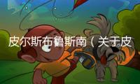 皮爾斯布魯斯南（關于皮爾斯布魯斯南的基本情況說明介紹）