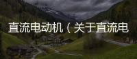 直流電動機（關于直流電動機的基本情況說明介紹）