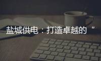 鹽城供電：打造卓越的“鹽電優能”的服務品牌