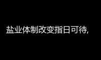 鹽業(yè)體制改變指日可待,行業(yè)資訊