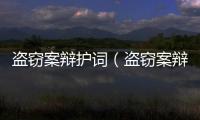 盜竊案辯護詞（盜竊案辯護詞）