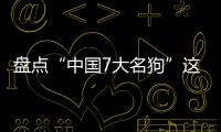 盤點“中國7大名狗”這些名字你都聽過嗎？