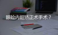 眼瞼內翻矯正術手術？