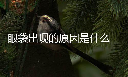 眼袋出現(xiàn)的原因是什么 中醫(yī)針灸去眼袋效果顯著