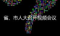 省、市人大召開視頻會議 部署剿滅劣V類水活動