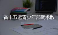 省十五運(yùn)青少年部武術(shù)散打比賽開打_