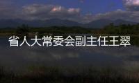 省人大常委會副主任王翠鳳來滁走訪調研_