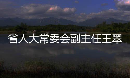 省人大常委會副主任王翠鳳來滁走訪調研_