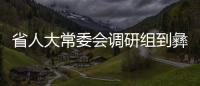 省人大常委會調研組到彝良調研鄉村振興工作