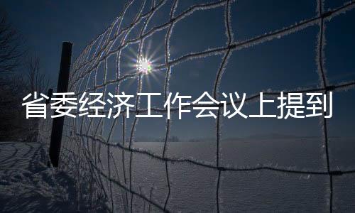 省委經濟工作會議上提到的幾種“經濟”