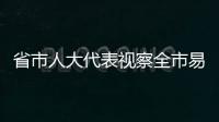 省市人大代表視察全市易地扶貧搬遷工作