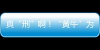 真“刑”啊！“黃牛”為非法辦業務竟入侵交管系統