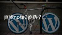 真我note2參數(shù)？ 魅族魅藍(lán)note2