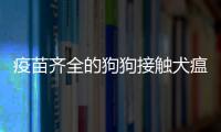 疫苗齊全的狗狗接觸犬瘟熱會傳染嗎？疫苗齊全的狗狗接觸犬瘟熱傳染嗎