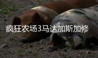 瘋狂農場3馬達加斯加修改器游戲介紹（瘋狂農場3馬達加斯加修改器）