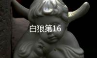 白狼第16