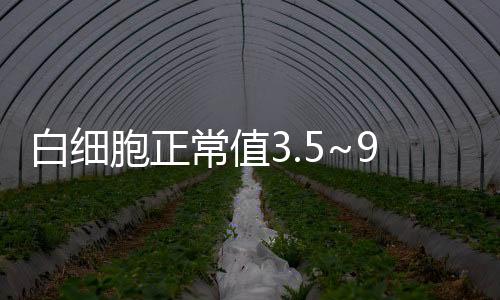 白細胞正常值3.5~9.5還是4~10（白細胞正常值）