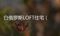 白俄羅斯LOFT住宅（組圖）