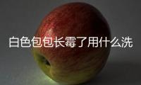 白色包包長霉了用什么洗 白色包包防霉保養要點
