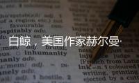 白鯨，美國作家赫爾曼·麥爾維爾所著長篇小說