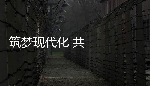 筑夢現代化 共繪新圖景 履職盡責又一年 