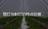 筒燈與射燈的特點在哪，該怎么選