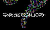 等你說愛我之冰山總裁gl晉江（求 等你說愛我之冰山總裁 gl全文 謝謝）