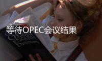 等待OPEC會議結果 油價周二收跌