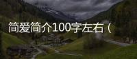 簡愛簡介100字左右（簡愛簡介100字）