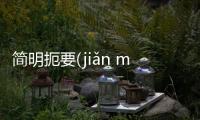 簡明扼要(jiǎn míng è yào)網友會有什么評論?